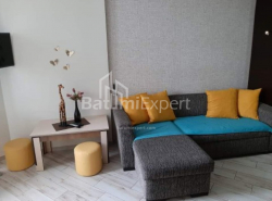 דירה 2-комн 35.6 m² - ניקו פירוסמני, Batumi
