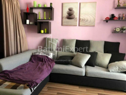 דירה 2-комн 48 m² - ניקו פירוסמני, Batumi