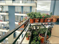 דירה 81.4 מ"ר - טבל-אבוזרידזה, Batumi, גאורגיה