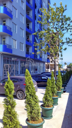 דירה 30 מ"ר - שריף חימשיאשווילי, Batumi, גאורגיה