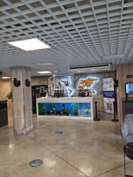 דירה 52 מ"ר - שריף חימשיאשווילי, Batumi, גאורגיה