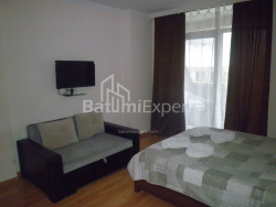 דירה 1-комн 30 m² - יוסף קובלדזה, Batumi