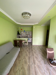 דירה 2-комн 46 m² - גריגולה אליאבה, Batumi