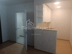 דירה 46 מ"ר - ניקו פירוסמני, Batumi, גאורגיה