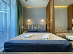 דירה 37 מ"ר - ניקו פירוסמני, Batumi, גאורגיה