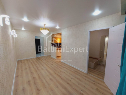 דירה 2-комн 46 m² - ניקו פירוסמני, Batumi