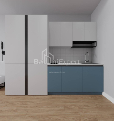 דירה 1-комн 30.3 m² - שלווה אינסרידזה, Batumi