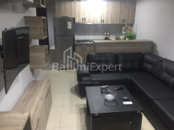 דירה 2-комн 45 m² - אלכסנדרה פושקין, Batumi