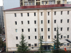 דירה 37 מ"ר - וכטנג גורגסלי, Batumi, גאורגיה